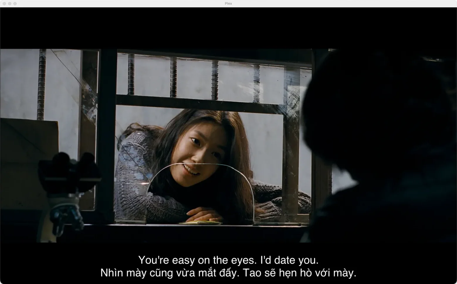 A film playing in Plex with English and Vietnamese subtitles shown together